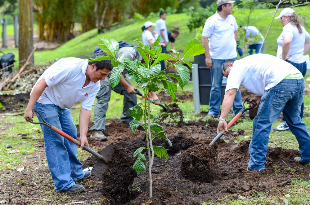 Environmental Programs
